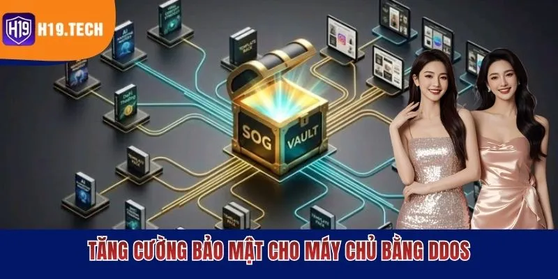 Tăng cường bảo mật cho máy chủ bằng DDoS