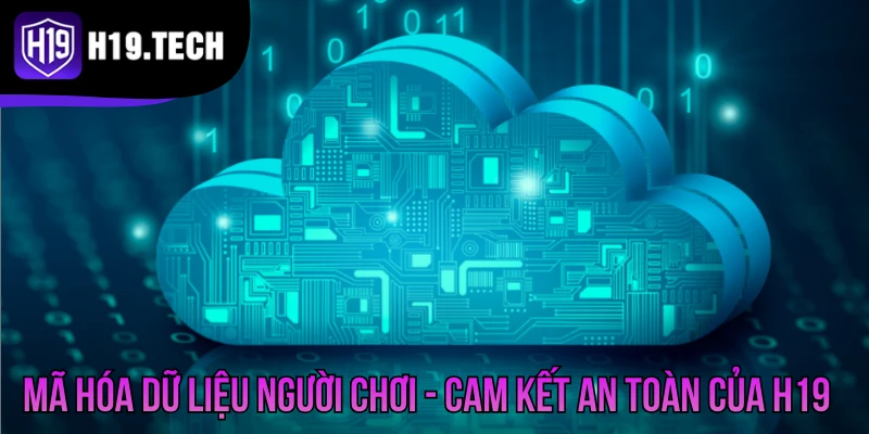 Mã Hóa Dữ Liệu Người Chơi - Cam Kết An Toàn Của H19