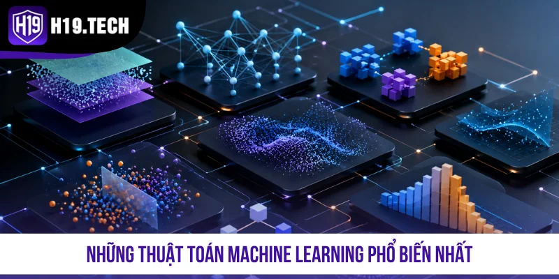Những thuật toán machine learning phổ biến nhất